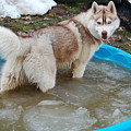 Love Swimming Pool
