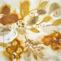 Natural Elements 2