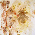 Natural Elements 3