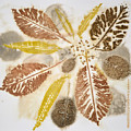 Natural Elements 5